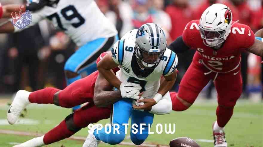 Carolina Panthers vs Arizona Cardinals Match Player Stats