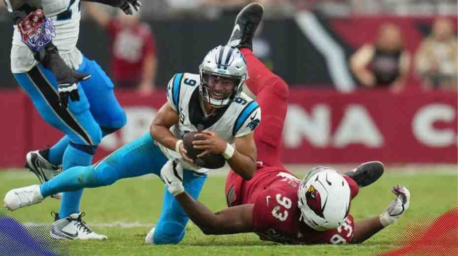 Carolina Panthers vs Arizona Cardinals Match Player Stats