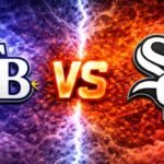 Tampa Bay Rays vs Chicago White Sox Match Player Stats
